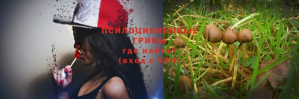 меф Армянск