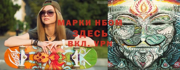 спайс Арсеньев